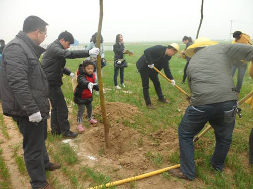 悦达起亚 植树活动 悦达起亚 植树活动