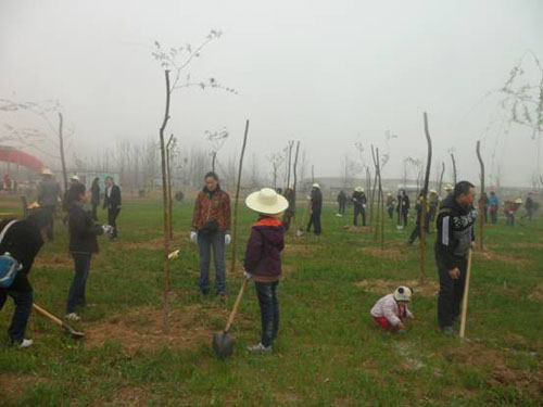 悦达起亚 植树活动 悦达起亚 植树活动