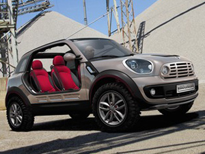 Countryman2013款 COOPER All 4 Excitement 