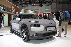 C4 Cactus